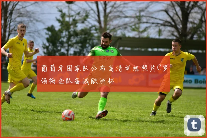 葡萄牙国家队公布高清训练照片C罗领衔全队备战欧洲杯