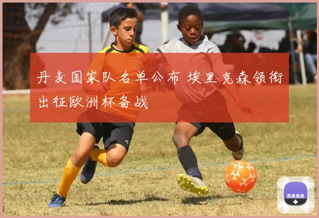 丹麦国家队名单公布 埃里克森领衔出征欧洲杯备战