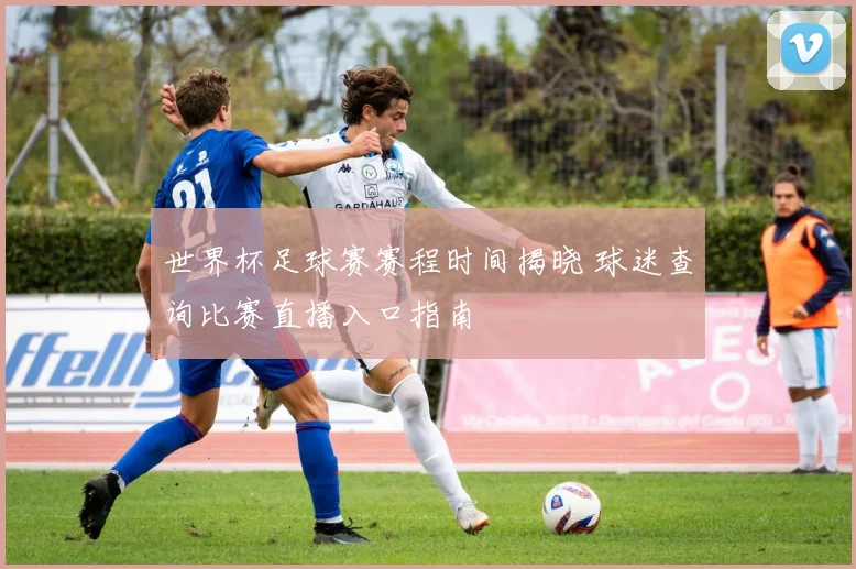 世界杯足球赛赛程时间揭晓 球迷查询比赛直播入口指南