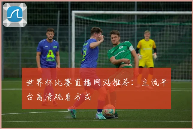 世界杯比赛直播网站推荐：主流平台高清观看方式